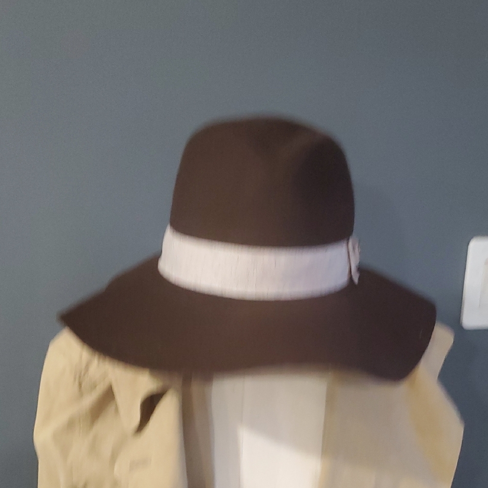 Disney Park  Brown and Cream Fedora Hat - Picture 10 of 10
